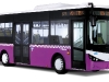 citibus-5