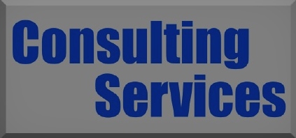 Consulting Services logo