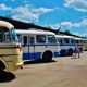 Rekordní účast historických autobusů RTO klubu v Lešanech